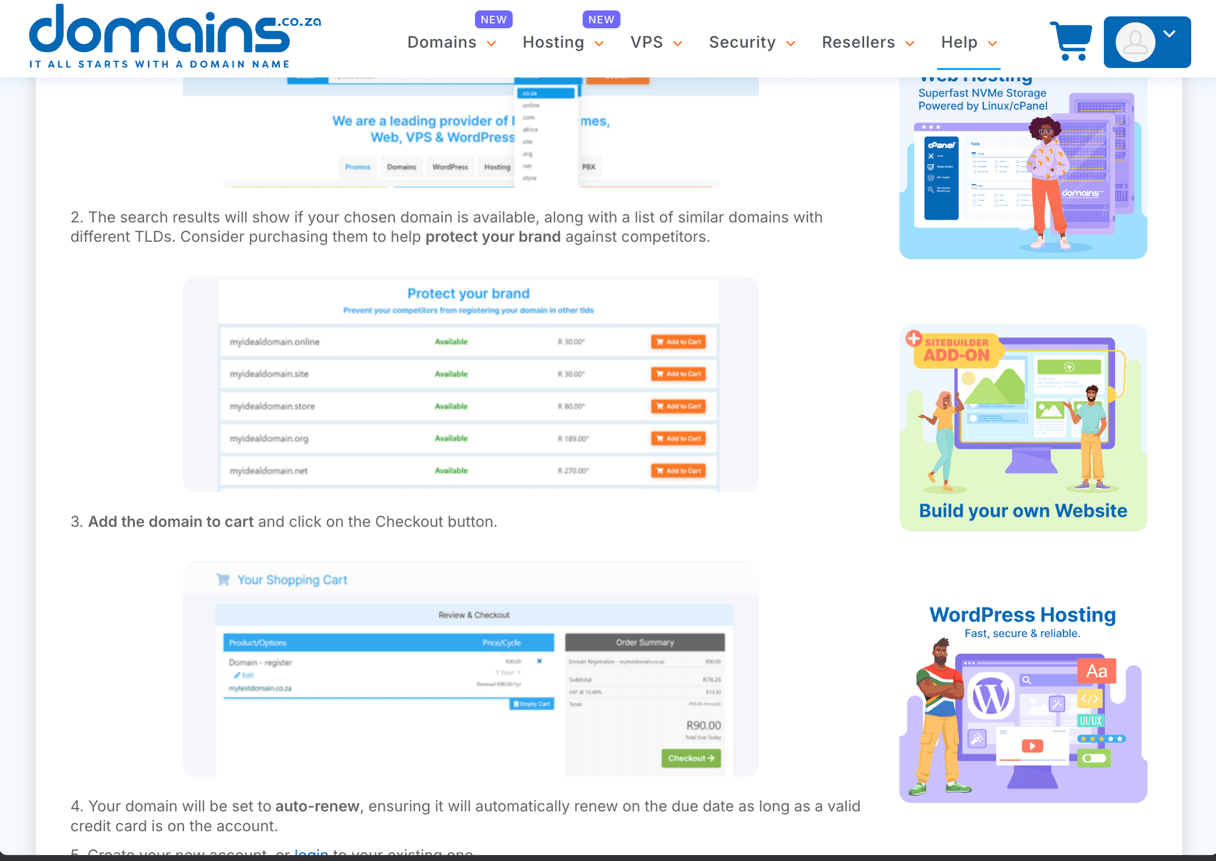Official Domains.co.za guide showing example availability results and an example shopping cart