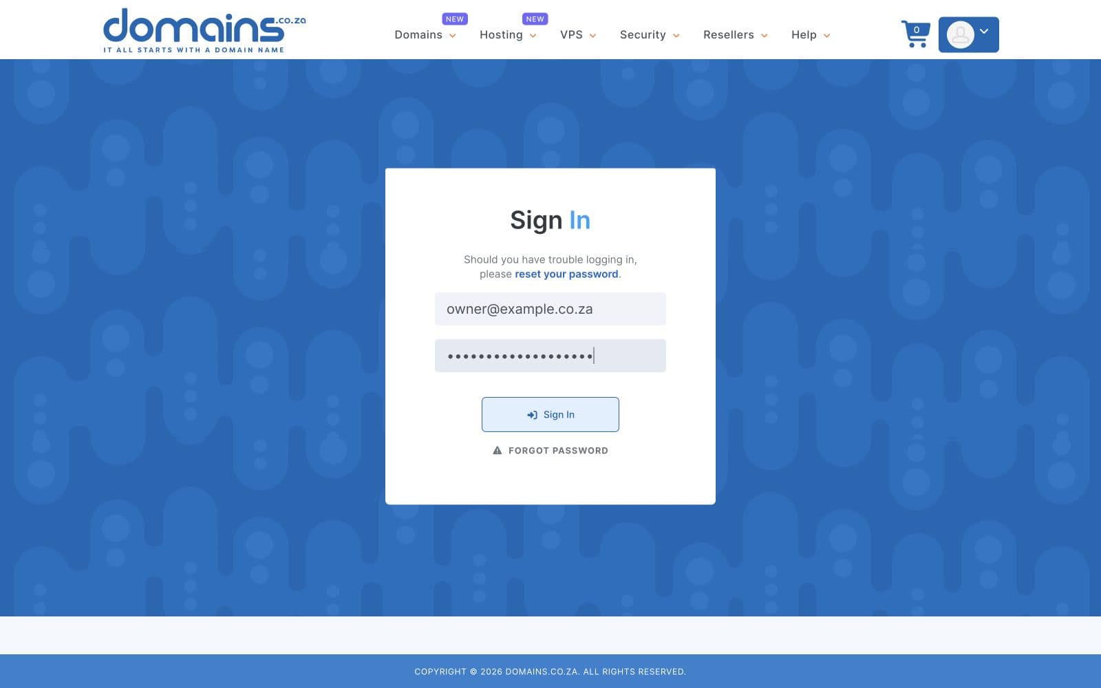 Domains.co.za sign-in page with fictional example email and password fields completed
