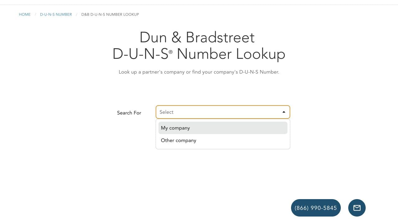 Global Dun and Bradstreet D-U-N-S Number Lookup with My company and Other company options